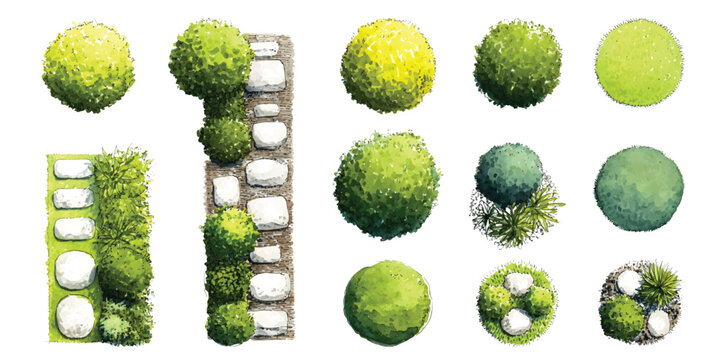 Watercolor set of  top down aerial view of landscape architecture garden elements with shrubs, bushes, stepping stone paths, isolated on transparent background