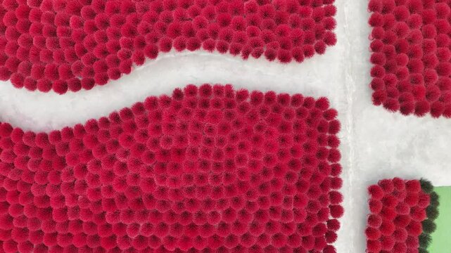 Top down drone view of red incense sticks drying pattern Vietnam village