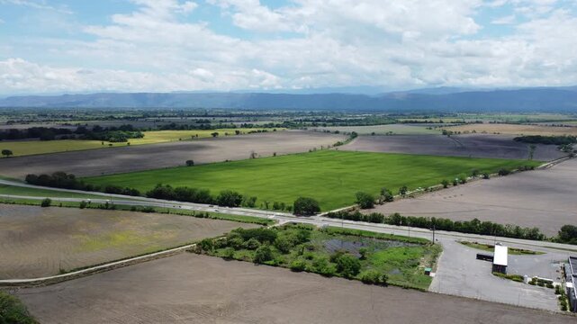  Close aerial view of rice panicles in El Espinal, Tolima