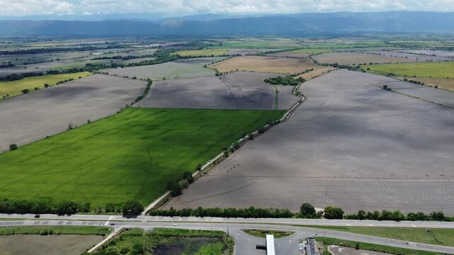  Close aerial view of rice panicles in El Espinal, Tolima