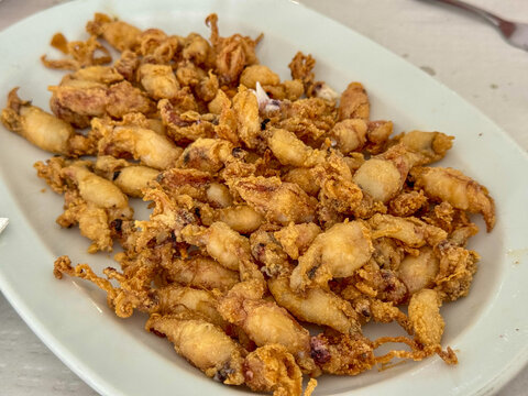 Fried Baby Squid on White Plate in Andalusia Spain