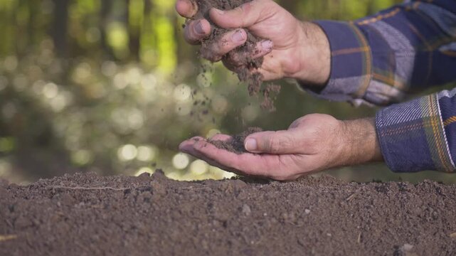 Hands hold soil and organic fertilizer. Farming with soil. Farmer testing soil. Earth care and melioration field. Cultivate land. Farmers hands pouring soil. Examining earth and compost fertility.