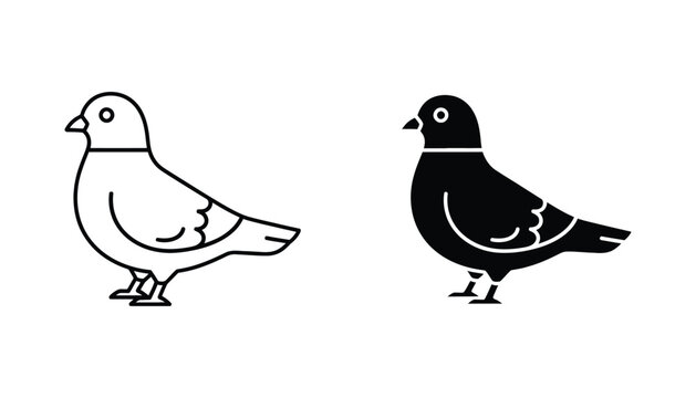 Pigeon bird icon set with detailed outline and solid black silhouette for city wildlife illustration