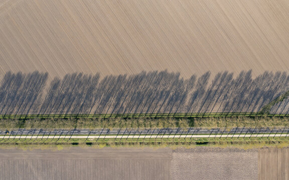 Aerial view of a straight road lined with a row of trees casting long shadows over ploughed agricultural fields in the Flevopolder Lelystad, Flevoland, Netherlands.
