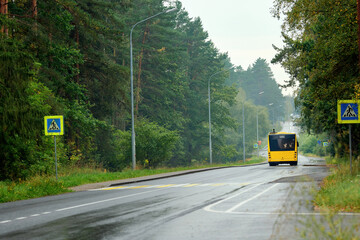 Naklejka premium Yellow public transport bus drives along wet asphalt road passing through green forest with tall pine trees and pedestrian crossing signs under an overcast sky. Suburban passenger bus traveling away