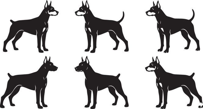 Doberman Dog Silhouette Set Vector &ndash; Standing Guard Breed Black Icon Collection