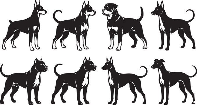 Dog Silhouette Set Vector &ndash; Different Breeds Standing Pose Black Icon Collection