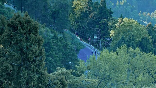 A winding mountain road in Mussoorie disappears into a lush canopy of evergreen trees, marked by a sharp warning sign and utility lines stretching across the deep green landscape.