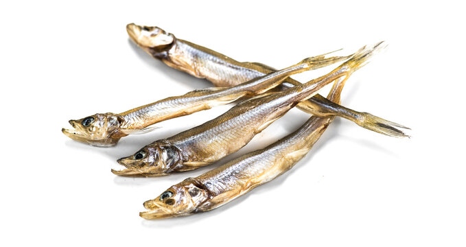 Smelt fish dried snack isolated on white background close up, Small fish, heap of European smelt, Candlefish. Osmeridae, Osmerus eperlanus, Osmerus mordax close-up. 