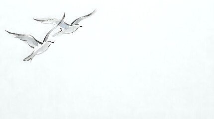 Obraz premium Elegant white cranes flying in formation against soft gray sky, minimalist wildlife scene with graceful birds in natural flight pattern for peaceful design.