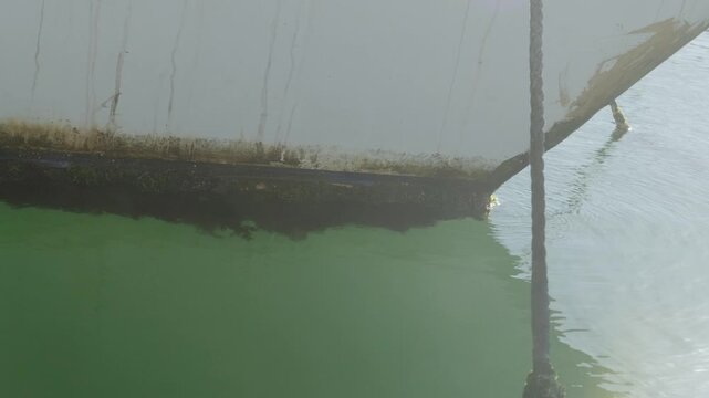Seaweed and shells clinging to the lower underwater surface of the ship's hull. The green algae that has accumulated at the point where the boat meets the water draws attention