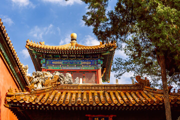 Fototapeta premium Warm ceramic surfaces and lush green branches create contrasting textures that highlight historic architecture under bright sky in Forbidden City, Beijing, China