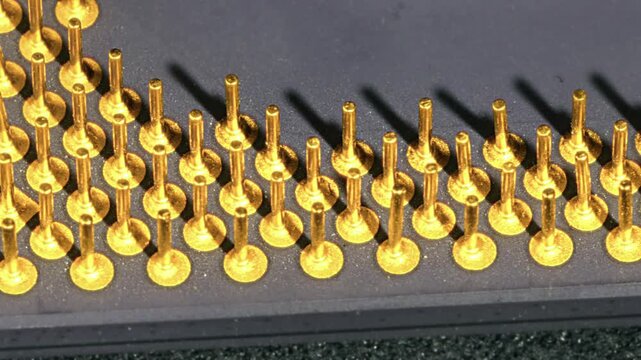 CPU processor gold pin grid array viewed from low angle macro shot, showing rows of gold pins on anti-static foam, electronic component detail. Extreme close-up, rotating view