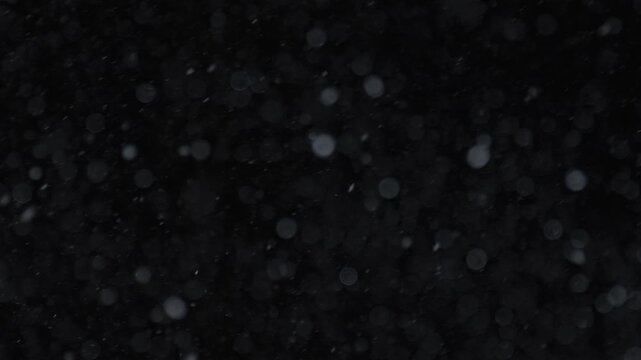 Falling snow with bokeh particles. Falling snow for luma matte compositing. Falling snow on isolated black backdrop. Falling snow with frosty snowfall.