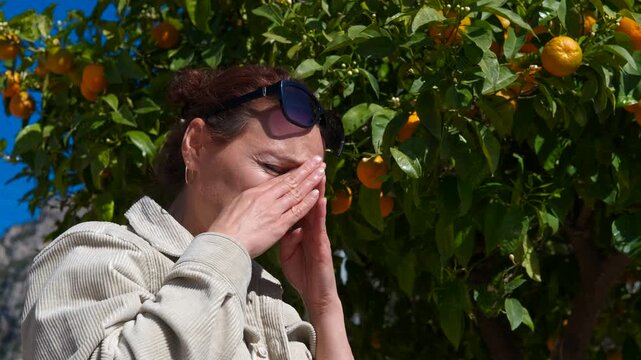 Suffer from citrus fruit allergy. Tourist suffering from citrus allergy having an allergic reaction near an orange tree, sneezing and covering her face with her hands, then waving her hand in disgust