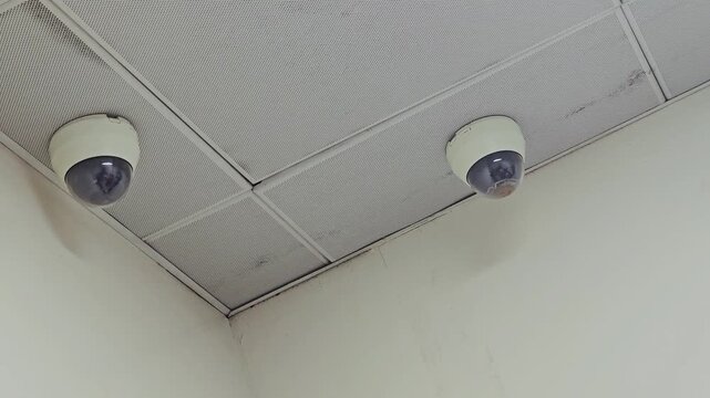 Two white dome security cameras mounted on a drop ceiling in a corner. Professional surveillance system for indoor monitoring and office safety.