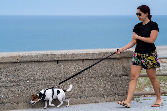 A woman and her dog walk along the seafront of a seaside village. The woman is thirty-nine years old and has dark red hair, the dog is a two-year-old Jack Russell