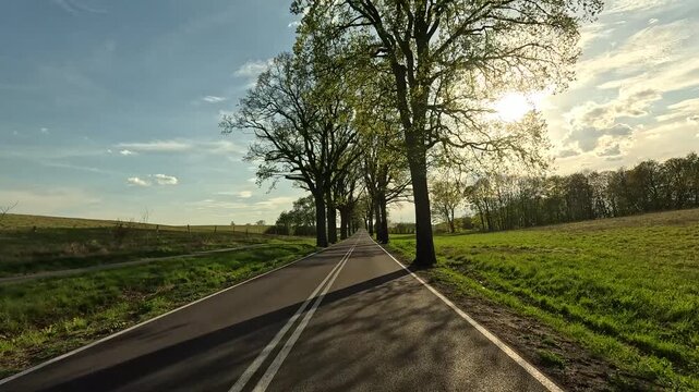 Rural tree lines road farms sun Poland POV. Rural cobblestone forest road. Forest agriculture. Summer growing season. Historical trade and rural center. Member of European Union (EU). Travel.