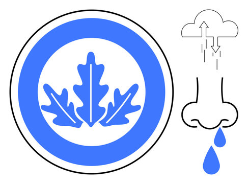 Allergy concept. oak leaf symbol beside illustrations of airborne allergens and nasal symptoms. Allergy health awareness, environmental factors, and respiratory care. Great for medical, educational