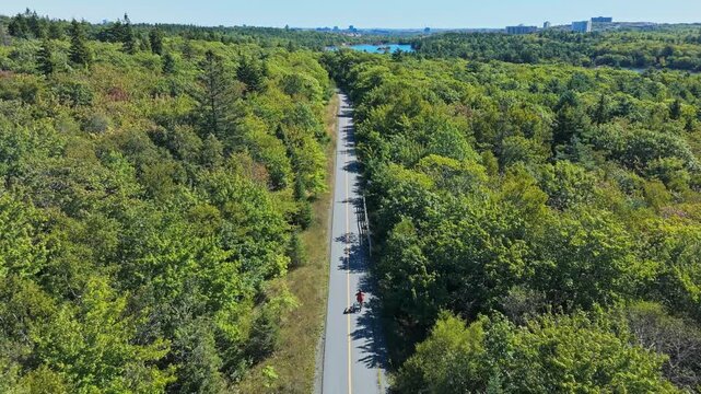 Cyclist Aerial View Forest Path Halifax Canada Riding On Winding Road In Green Nature Park Nova Scotia Calm Outdoor Activity Scenic Landscape 4K