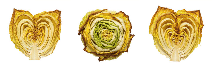 Obraz premium Set of Fresh Green Cabbage Heads Isolated on White Background, PNG