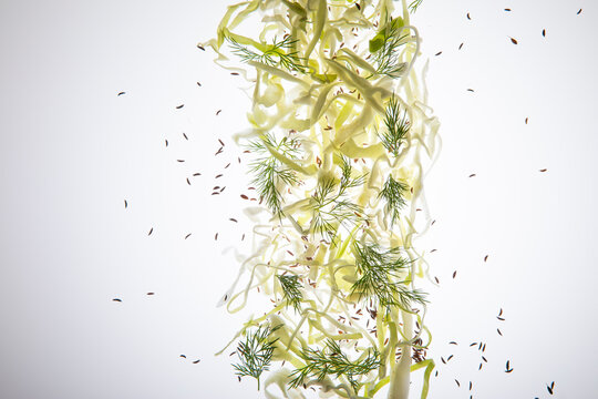Pickling herbs with cabbage on white