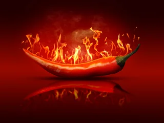 Keuken achterwand Hete pepers Hot chili pepper with flames and smoke on red gradient background  © New Africa