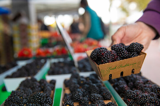 Close-up of hand holding blackberry basket at market