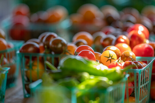 Container of cherry tomatoes in sunlight
