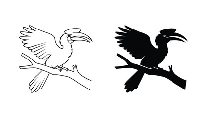 Hornbill bird perched on tree branch icon set in outline and solid black silhouette style © Echo