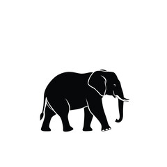 Fototapeta premium A black silhouette of an African elephant walks against a white background.