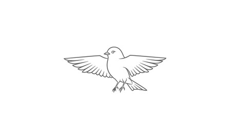 Fototapeta premium Minimalist line drawing of a bird in flight with spread wings on white background