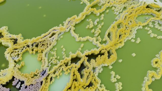 Aerial view of the Danakil Desert hydrothermal pools with vibrant green acid ponds and yellow sulfur crusts in Dalol, Afar, Ethiopia.