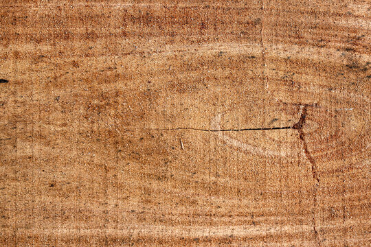 A detailed top-down view of a rough sawn timber surface showing natural brown wood grain, fibers, and organic patterns.