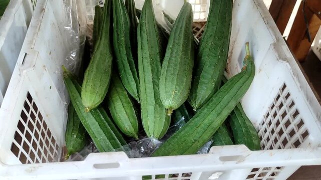 Fresh green Ridged gourd (Luffa acutangula) vegetables in a white plastic crate at a traditional market. Organic Angled loofah for healthy cooking and vegetarian diet.