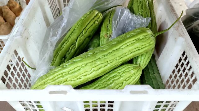 Fresh Bitter melon (Momordica charantia) in white plastic basket at a traditional market. Raw organic Bitter gourd for healthy cooking and herbal medicine. Perfect for healthy eating, grocery shopping