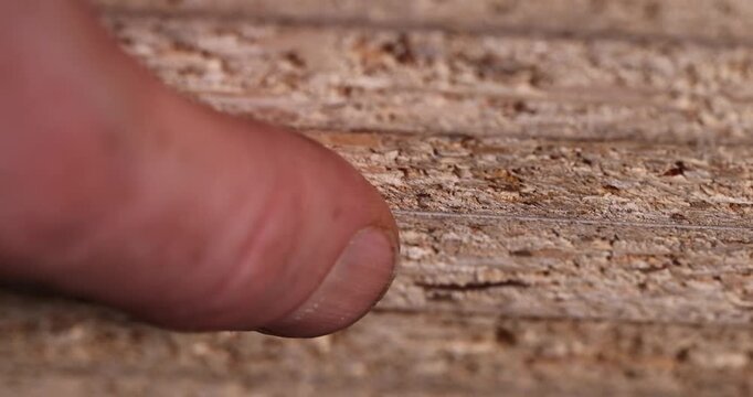 The chipboard demonstrates a cut, a wood slab with a rough surface of compressed sawdust and wood chips in an industrial workshop with an authentic look and high-detail edges.