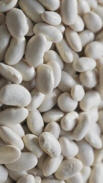 Close-up of raw white Turkish navy beans texture