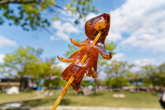 Grilled Squid Skewer Held Against Blue Sky at an Outdoor Park Event