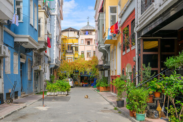 Fototapeta premium A calico cat bathes himself in the middle of the street in the Balat district of Istanbul, Turkey, known for its colorful old houses and cozy neighborhood atmosphere.&nbsp;