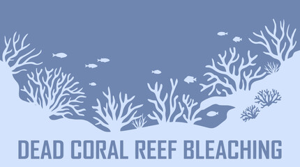 Dead Coral Reef Bleaching Underwater View © Bima