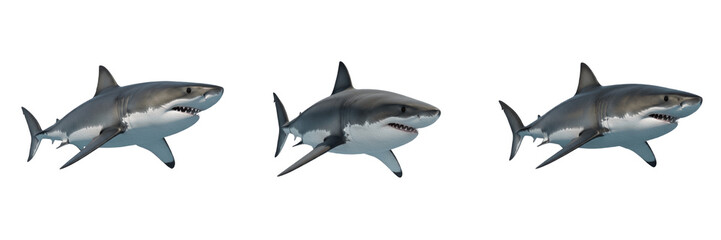 Fototapeta premium Powerful Great White Shark Swimming Isolated on White Background, PNG