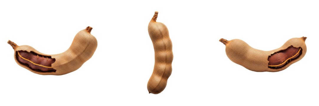 Fresh Single Tamarind Fruit Pod Isolated on White Background, PNG