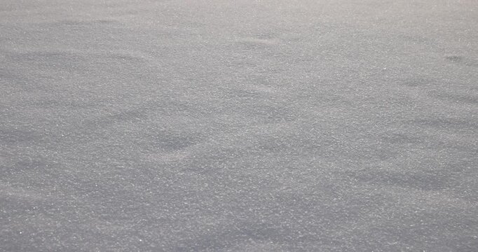 a frozen wide river completely covered with ice during the frosts, a river covered with pure white fresh snow after snowfalls and frosts, close up