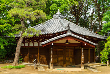 Fototapeta premium Tetsugakudo Space Museum Traditional Building in Tokyo Japan