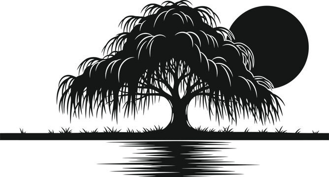 Weeping willow tree silhouette with moon reflection black and white