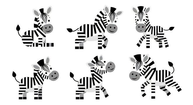 Black and white zebra illustrations.