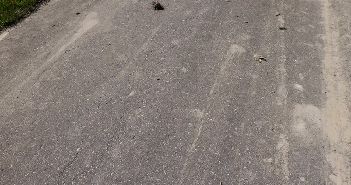Gray asphalt road with sand, dirty asphalt road is covered with traces of dust and small particles of soil on the surface of the canvas.
