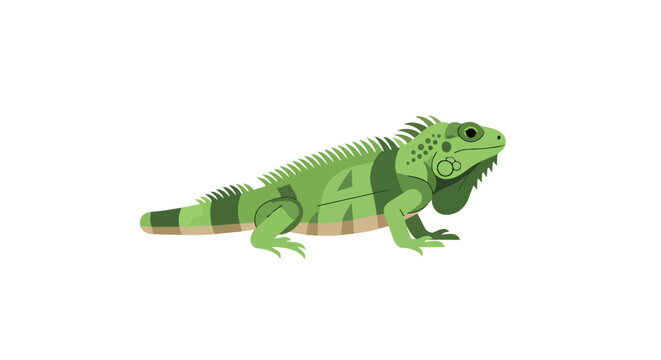 Green Iguana Lizard Illustration with Striped Tail and Spines Isolated on White Background