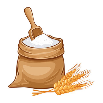 Pure and Natural flour sack with wheat stalks for cooking healthy meal ingredient and nutrition in kitchen daily life - Vector Illustration